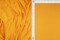 1 Yard Yummy Rib 8x3 Solid Stretch Knit Fabric 58/60 Inch Wide